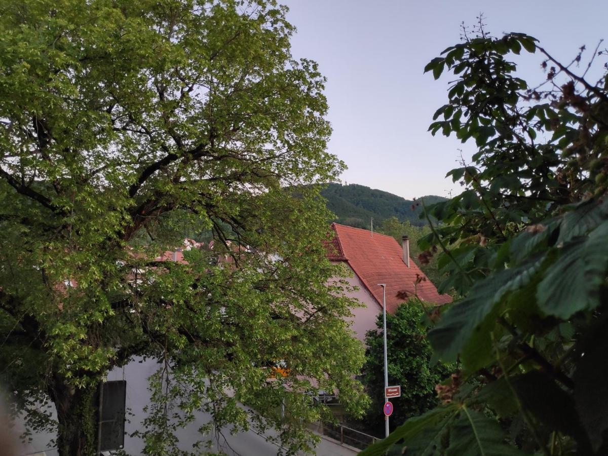 Ferienwohnungen Und Zimmer In Reutlingen-Goenningen Exteriér fotografie